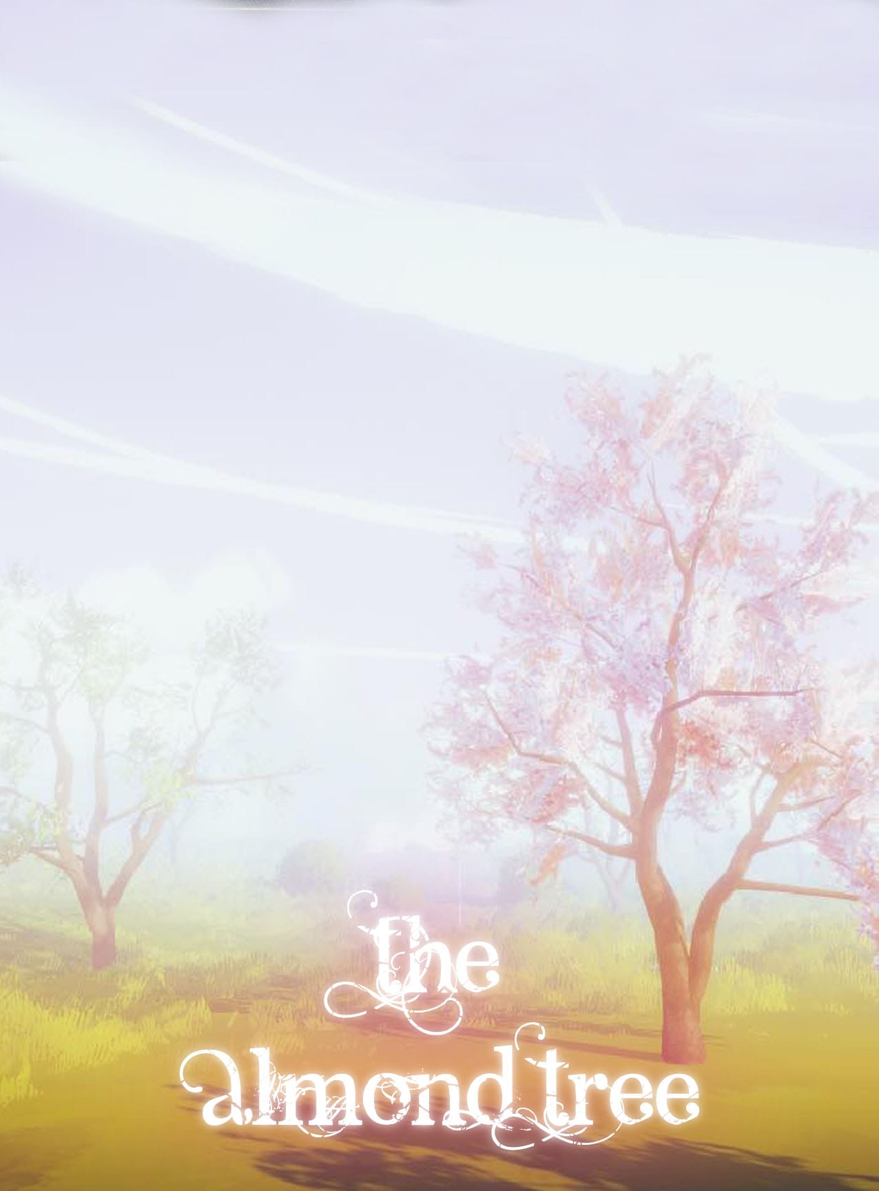 The Almond Tree