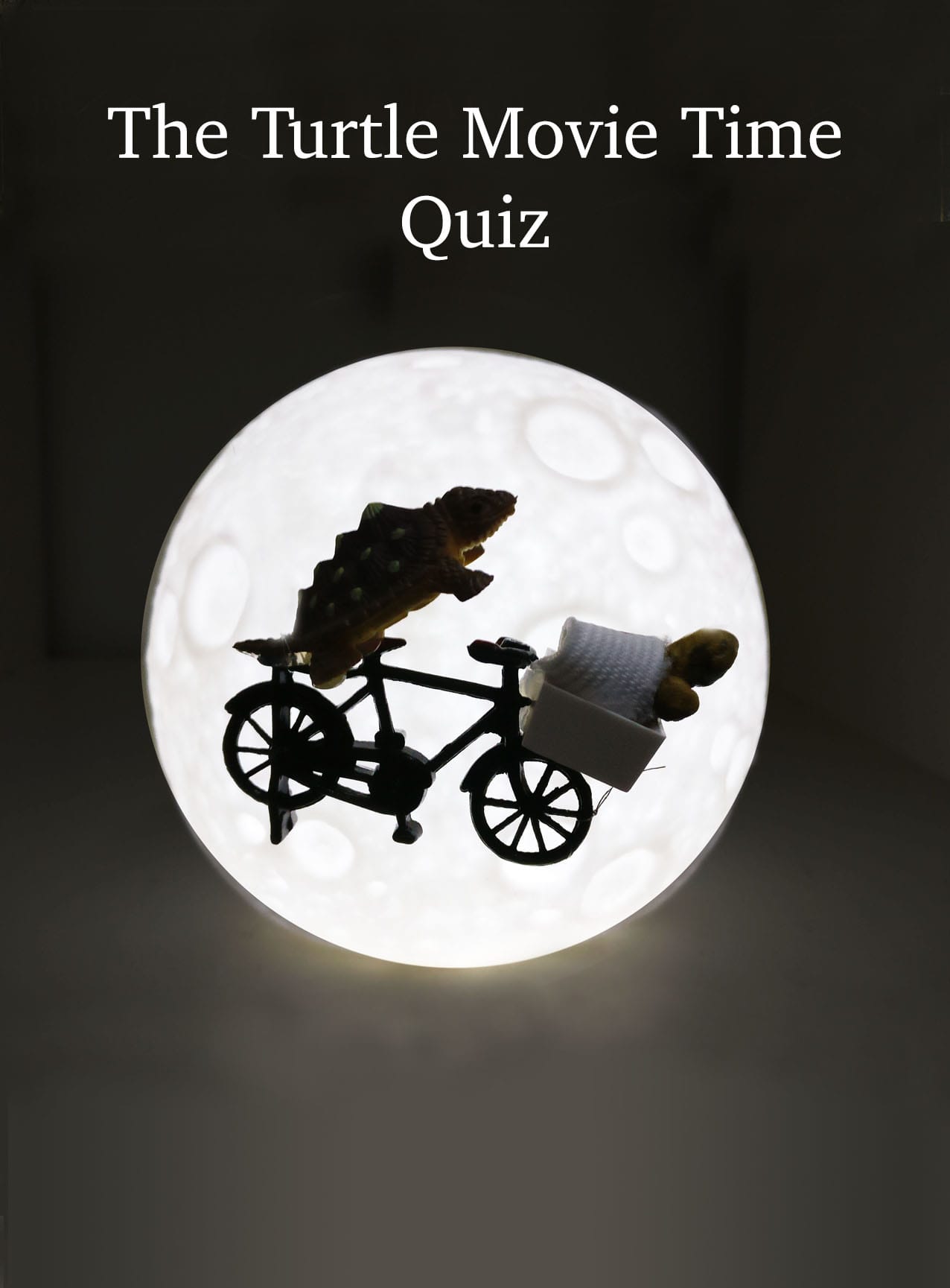 The Turtle Movie Time Quiz!